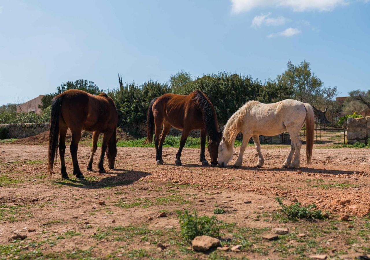 Agroturismo Sa Canoveta Colonia de Sant Jordi Екстериор снимка